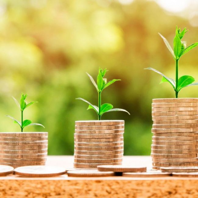 Microeconomía (1º parcial)
